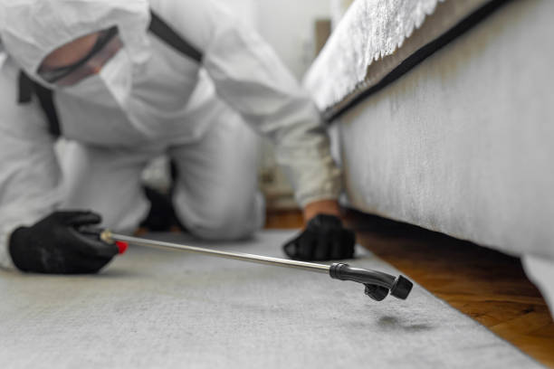 Professional Ant Control technician working in Godley, TX