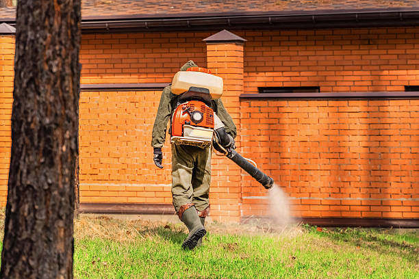 Trusted Mosquito Control service in Godley, TX - Nex Pest Control